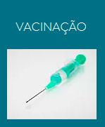 Vet Estrelar Imagem Vacinação
