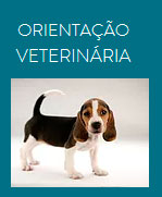 Vet Estrelar Imagem Orientação Veterinária