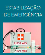 Vet Estrelar Imagem Estabilização de Emergência