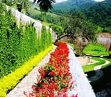 paisagismo-no-Jardim Bonfiglioli